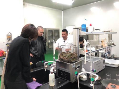 科技賦能農業新篇章 CCTV 1聚焦云谷田園LED植物工廠，珍稀本草金線蓮成功培育引領生物技術新服務